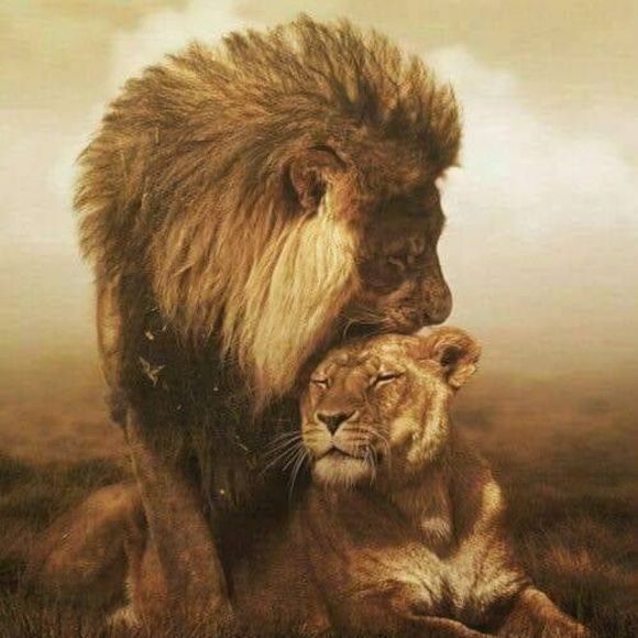 Meet your Posher, Natasha - Picture 1 of 1